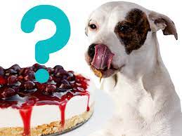 Can Dogs Eat Cheesecake?