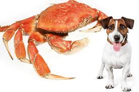 Can Dogs Eat Imitation Crab